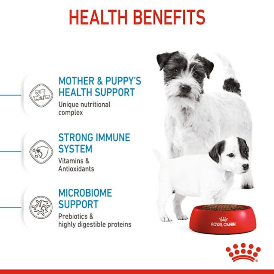 Royal Canin Mini Starter Mother & BabyDog – Hrană Uscată pentru Cățele Gestante și Pui de Talie Mică – 1 kg